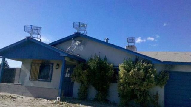 Позитив в картинках и фотоприколах