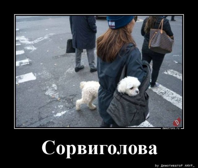 Демотиваторы на любой вкус