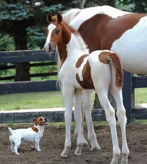 Вечерний выпуск. Подборка картинок