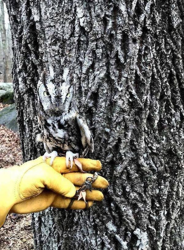 Вечерний выпуск. Подборка картинок