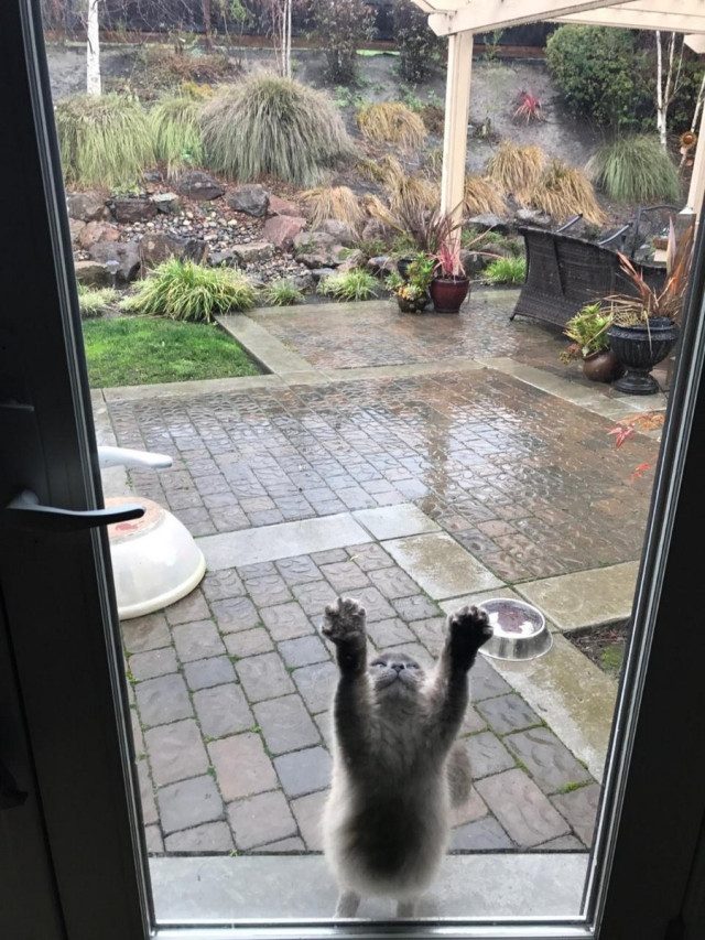 Фотоприколов пост