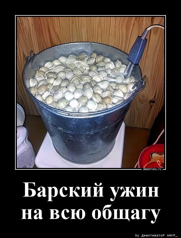 Демотиваторы-приколы