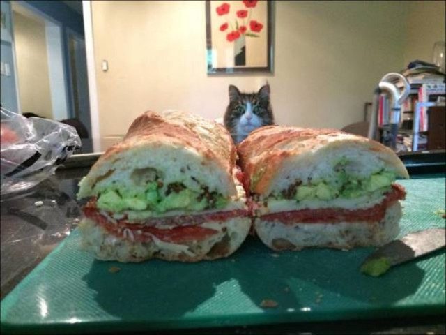 Фотоприколов пост