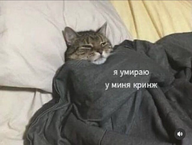 Смешные мемы