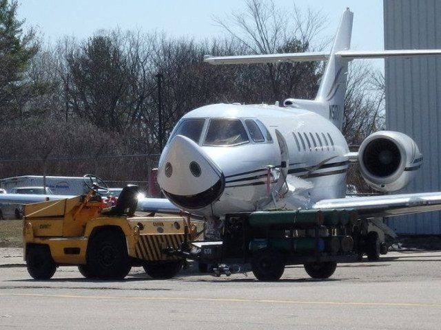 Прикольных картинок пост