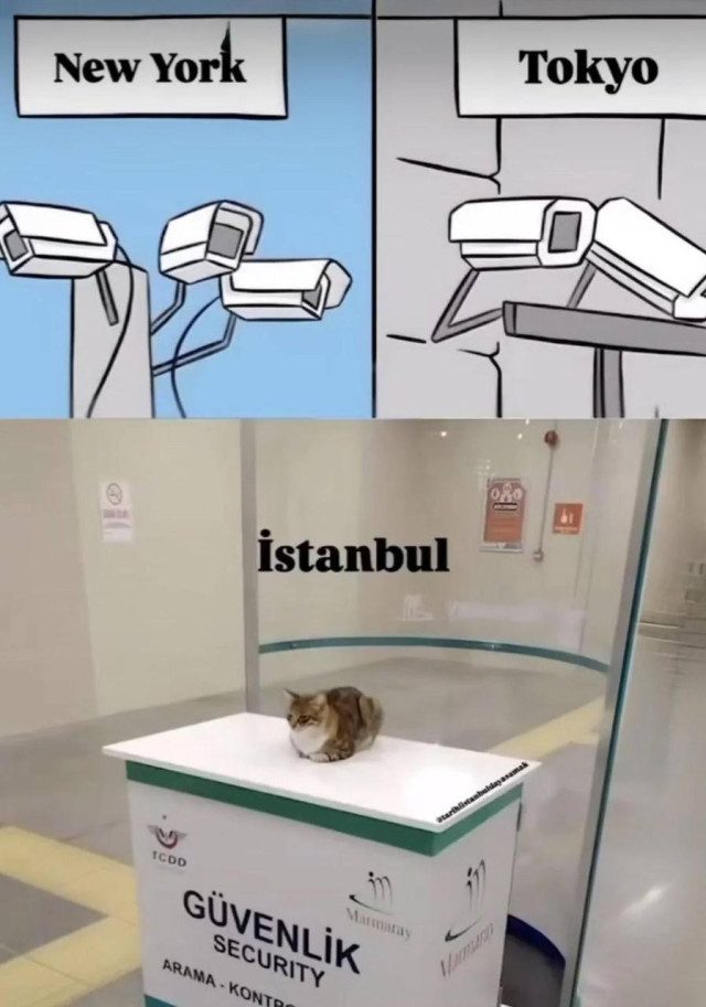 Прикольных картинок пост