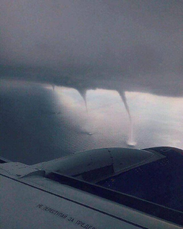 Прикольных картинок пост