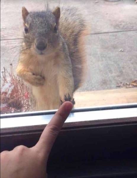 Прикольных картинок пост