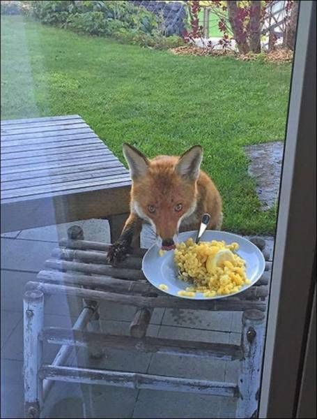 Прикольных картинок пост