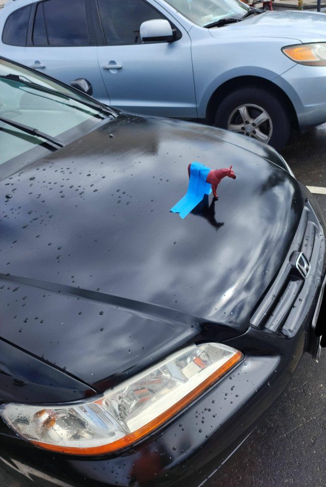 Фотоприколы