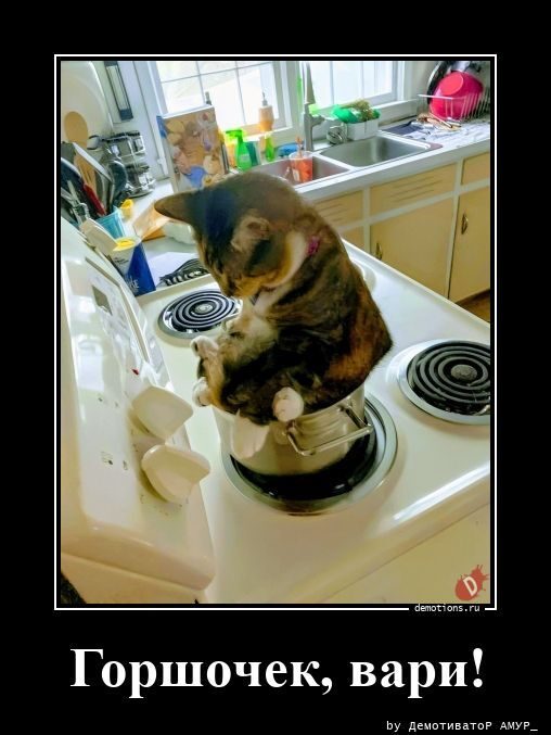 Демотиваторы