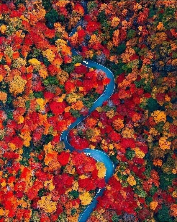 Подборка картинок. Вечерний выпуск