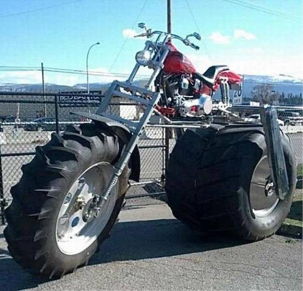 Подборка картинок. Вечерний выпуск