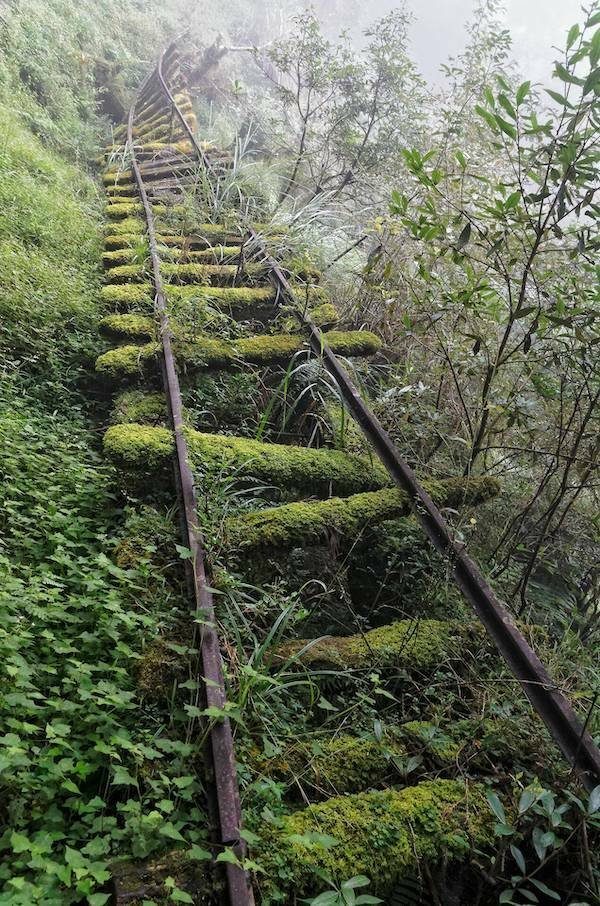 Подборка картинок. Вечерний выпуск