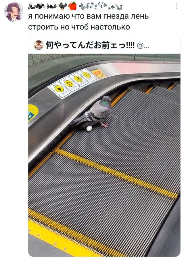 Прикольные твиты