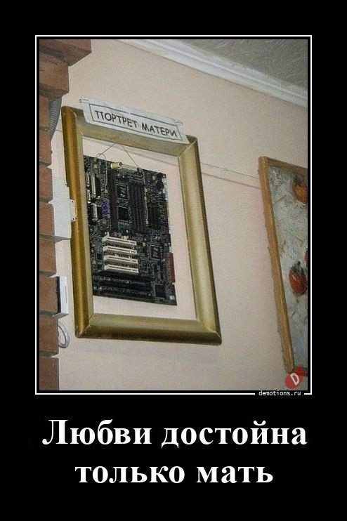 Демотиваторы дня