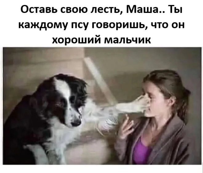 Смешное