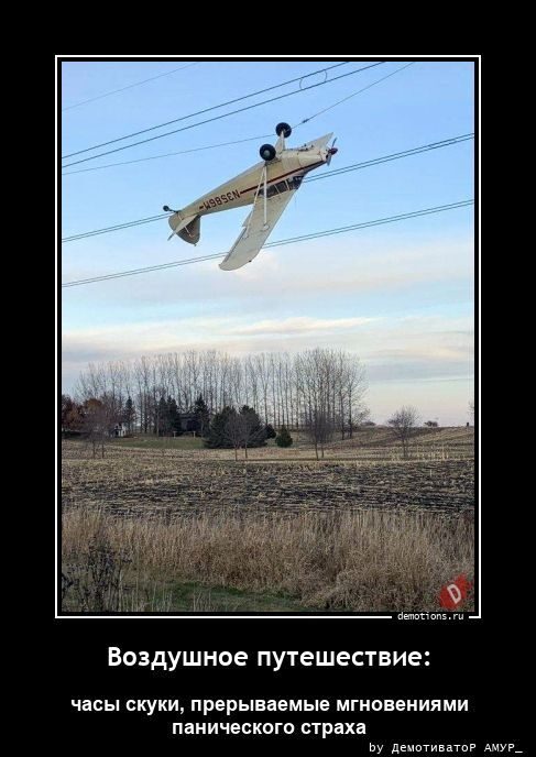 Демотиваторов порция