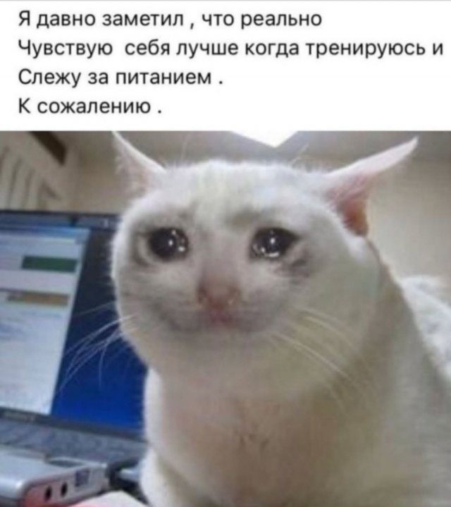 Смешные мемы