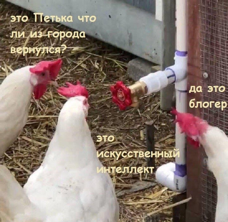 Веселые шутки-картинки