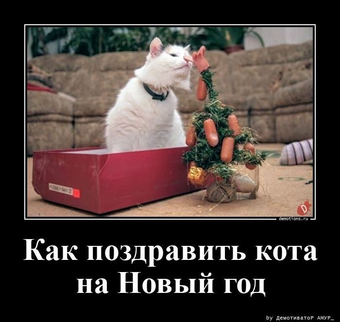 Демотиваторы на любой вкус