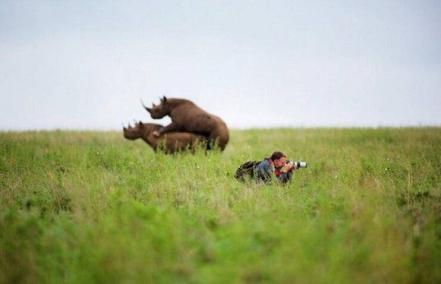 Вечерний выпуск. Подборка картинок