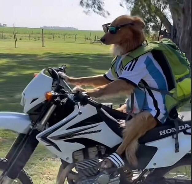 Вечерний выпуск. Подборка картинок