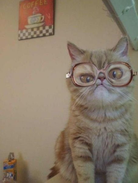 Подборка картинок. Вечерний выпуск