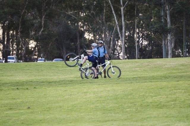 Подборка картинок. Вечерний выпуск