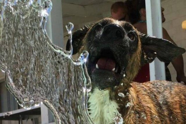 Подборка картинок. Вечерний выпуск