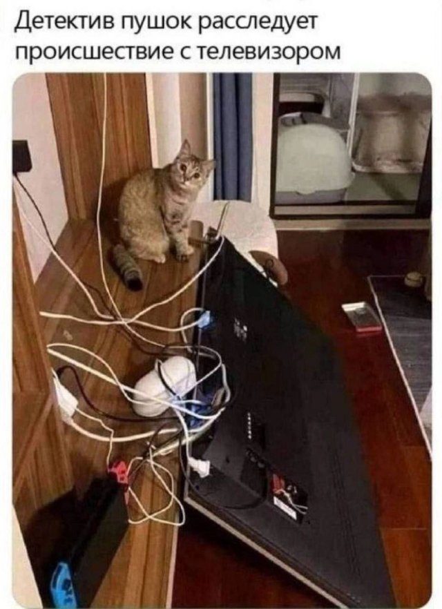 Смешные мемы