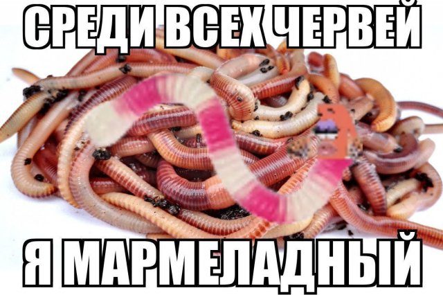 Приколы