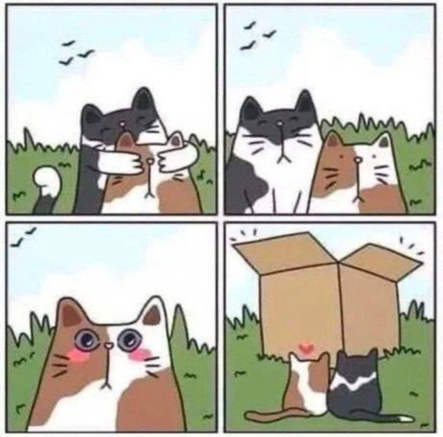 Смешные мемы