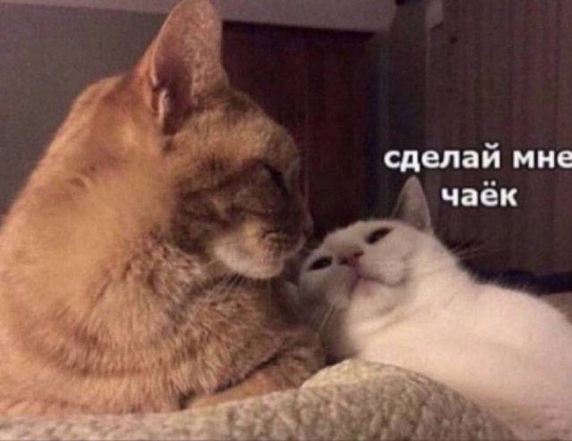 Вновь приколы