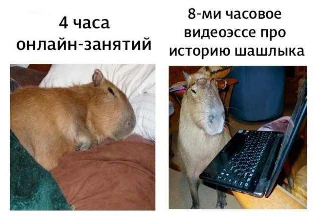 Вечерняя порция мемов от тоски и скуки