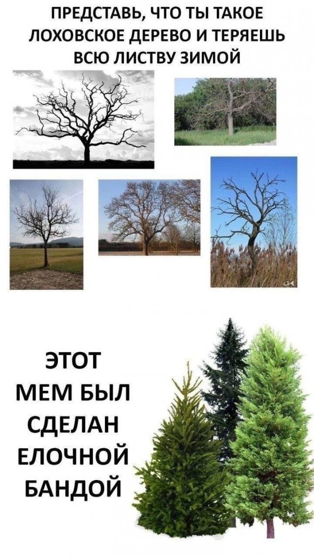 Вновь приколы