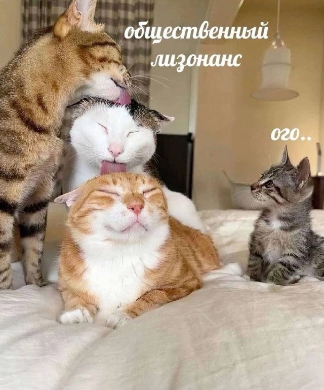 Подборка мемов