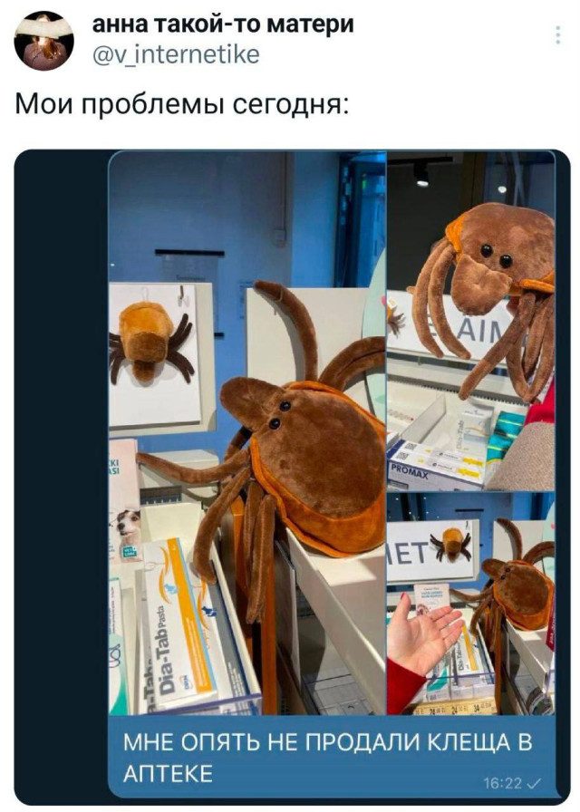 15 забавных твитов обо всем на свете