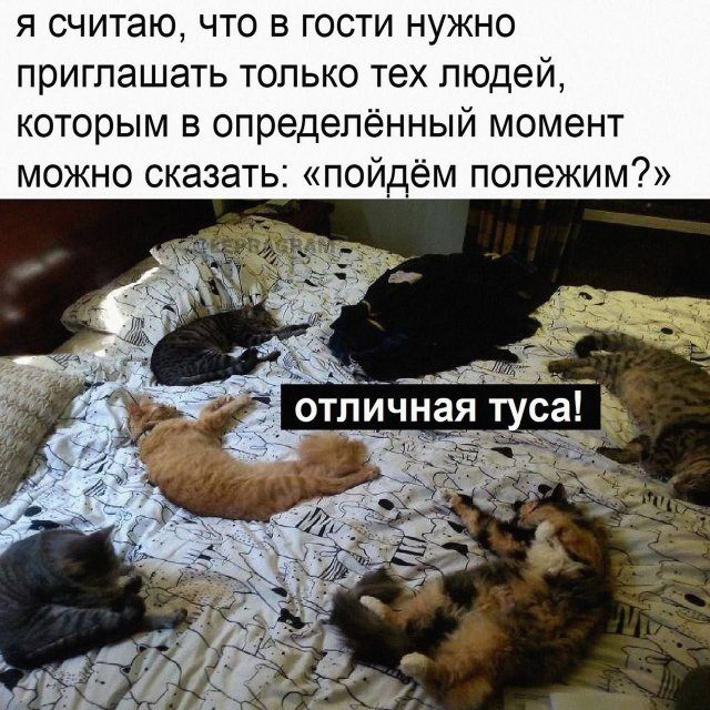 Смешные мемы