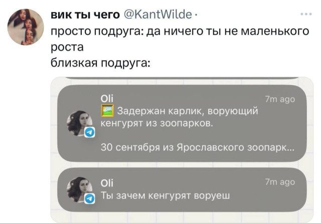 15 забавных твитов обо всем на свете