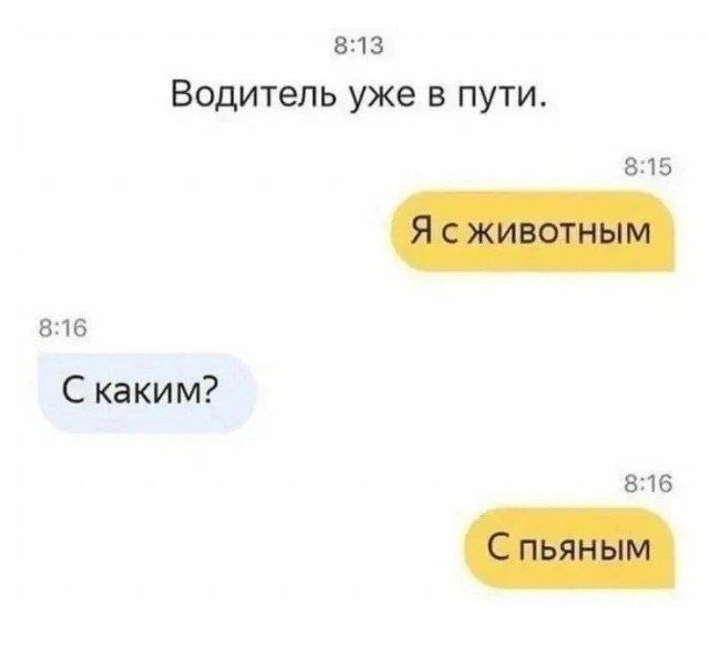 Лучшие мемы
