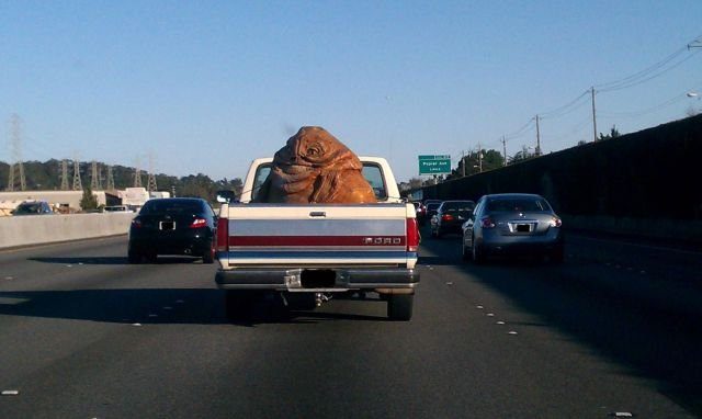Подборка картинок. Вечерний выпуск