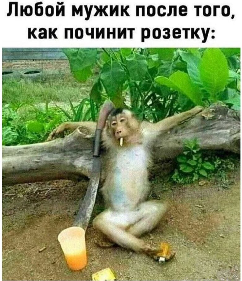 Смешные картинки