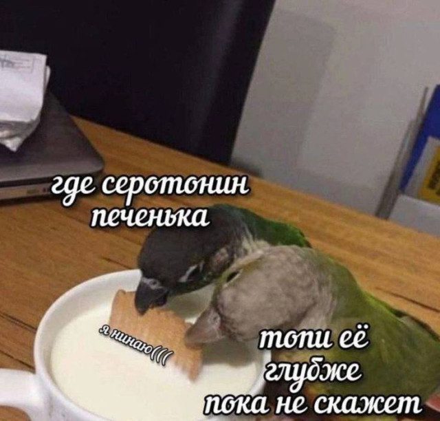 Мемы с животными