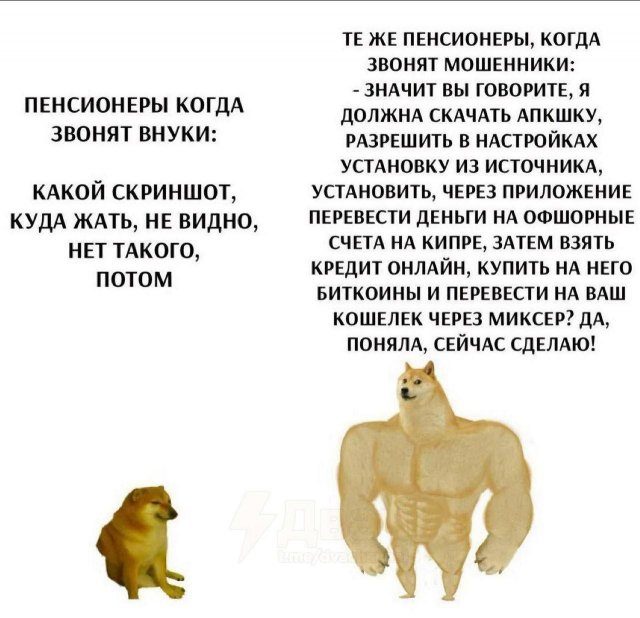 Лучшие шутки и мемы из Сети