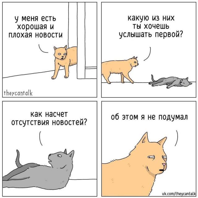 Лучшие шутки и мемы из Сети