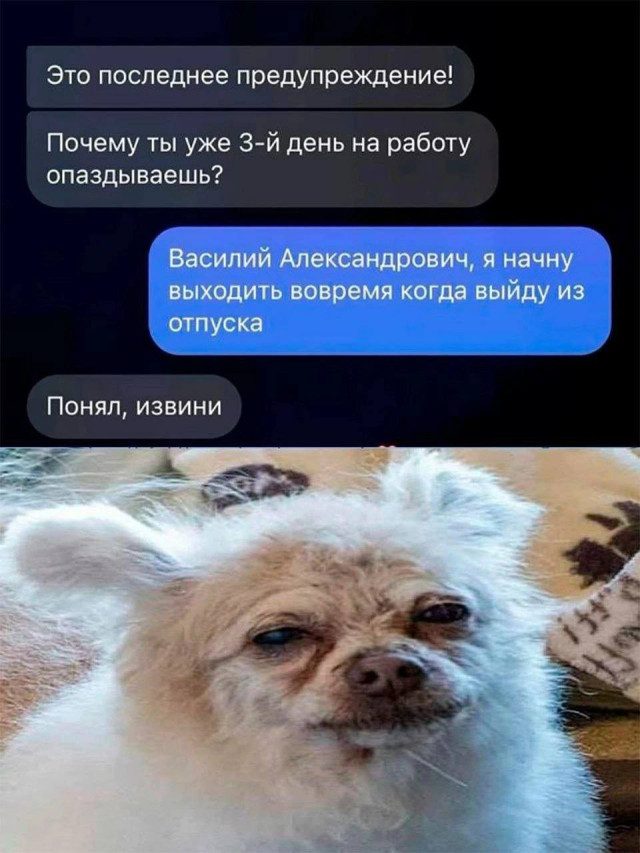 Приколы и забавные картинки для небольшой передышки