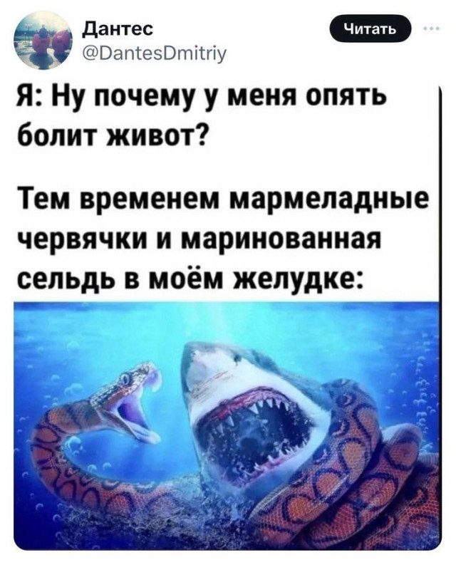 Приколы и забавные картинки для небольшой передышки