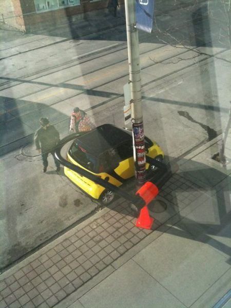 Подборка картинок. Вечерний выпуск