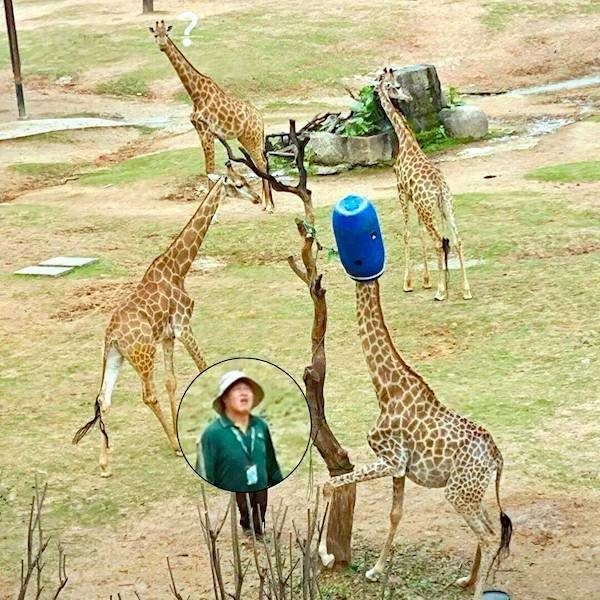 Вечерняя подборка картинок